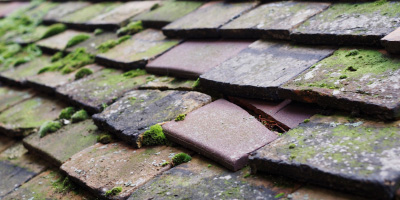 Hollingdon roof repair costs